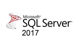 SQL Server Database Services